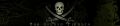 Oak Island Pirates Banner.jpg