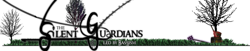 File:SG banner.png