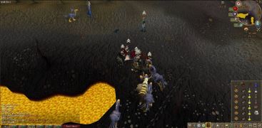 2009 Megaraid 1.jpg